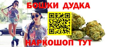 прущие грибы Сланцы