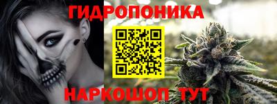 прущие грибы Сланцы