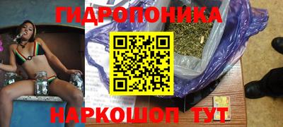прущие грибы Сланцы