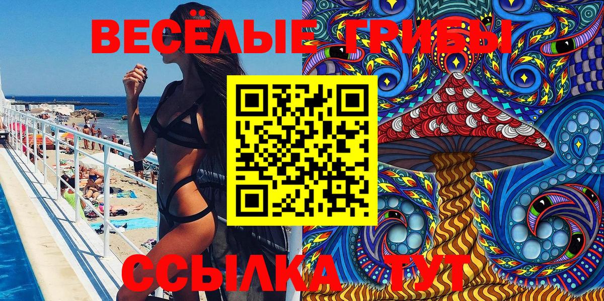 Малоярославец  Псилоцибиновые грибы Cubensis  Вход с VPN 
