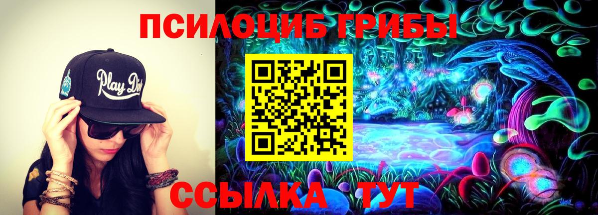 Псилоцибиновые грибы Cubensis Малоярославец