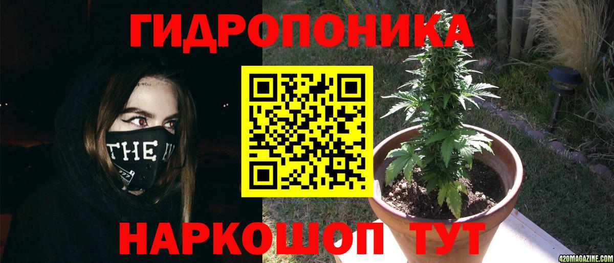 Бошки Шишки AK-47  Вход с VPN  Бошки Шишки OG Kush  Конопля семена  Малоярославец 